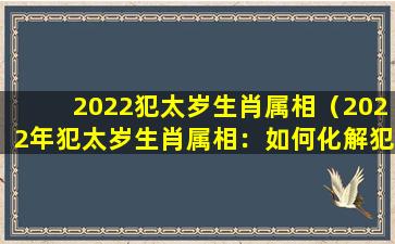 2022犯太岁生肖属相（2022年犯太岁生肖属相：如何化解犯太岁带来的不祥之气？）