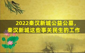 2022秦汉新城公益公墓，秦汉新城这些事关民生的工作