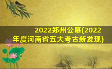 2022郑州公墓(2022年度河南省五大考古新发现)
