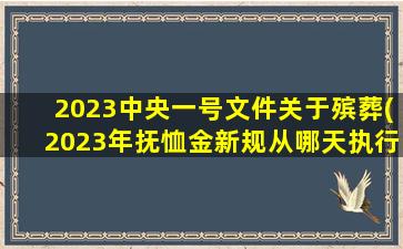 2023中央一号文件关于殡葬(2023年抚恤金新规从哪天执行)