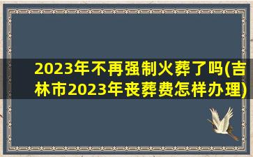 2023年不再强制火葬了吗(吉林市2023年丧葬费怎样办理)