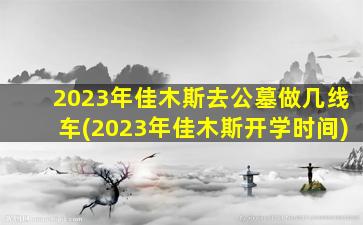2023年佳木斯去公墓做几线车(2023年佳木斯开学时间)