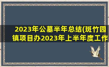 2023年公墓半年总结(斑竹园镇项目办2023年上半年度工作总结)
