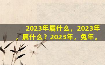 2023年属什么，2023年，属什么？2023年，兔年。
