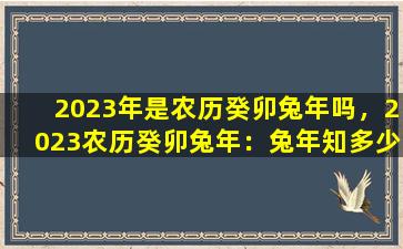 2023年是农历癸卯兔年吗，2023农历癸卯兔年：兔年知多少？