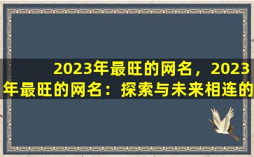 2023年最旺的网名，2023年最旺的网名：探索与未来相连的神秘力量