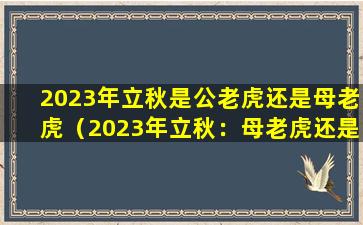 2023年立秋是公老虎还是母老虎（2023年立秋：母老虎还是公老虎？）