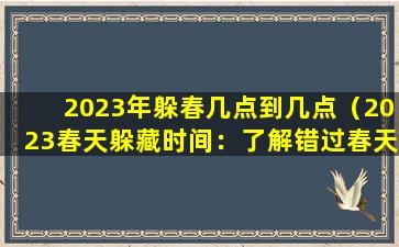 2023年躲春几点到几点（2023春天躲藏时间：了解错过春天的秘密）