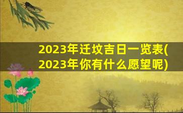 2023年迁坟吉日一览表(2023年你有什么愿望呢)