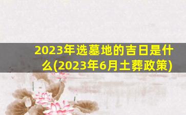 2023年选墓地的吉日是什么(2023年6月土葬政策)