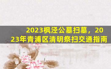 2023枫泾公墓扫墓，2023年青浦区清明祭扫交通指南