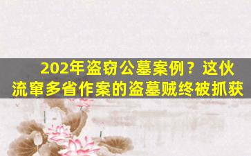 202年盗窃公墓案例？这伙流窜多省作案的盗墓贼终被抓获