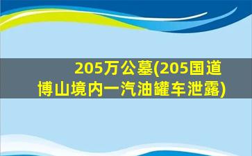 205万公墓(205国道博山境内一汽油罐车泄露)