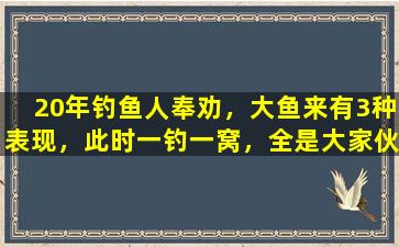 20年钓鱼人奉劝，大鱼来有3种表现，此时一钓一窝，全是大家伙！