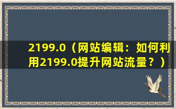 2199.0（网站编辑：如何利用2199.0提升网站流量？）