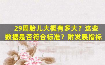29周胎儿大概有多大？这些数据是否符合标准？附发展指标