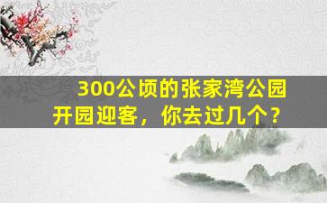 300公顷的张家湾公园开园迎客，你去过几个？