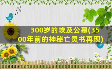 300岁的埃及公墓(3500年前的神秘亡灵书再现)