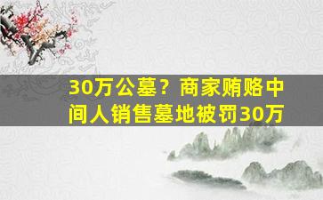 30万公墓？商家贿赂中间人销售墓地被罚30万