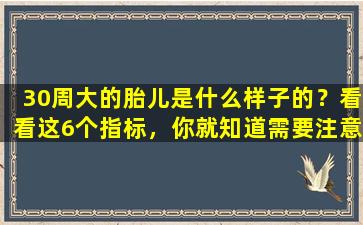 30周大的胎儿是什么样子的？看看这6个指标，你就知道需要注意什么了。