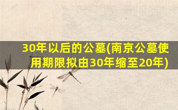 30年以后的公墓(南京公墓使用期限拟由30年缩至20年)