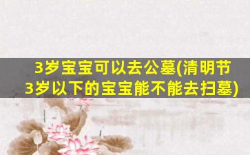 3岁宝宝可以去公墓(清明节3岁以下的宝宝能不能去扫墓)