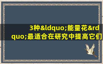 3种“能量花”最适合在研究中提高它们，并且它们将不再是“不愿”的工作和学习。