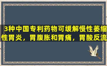 3种中国专利药物可缓解慢性萎缩性胃炎，胃腹胀和胃痛，胃酸反流