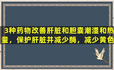 3种药物改善肝脏和胆囊潮湿和热量，保护肝脏并减少酶，减少黄色和抗纤维化，增强抗HBV，并提高Yin转换率