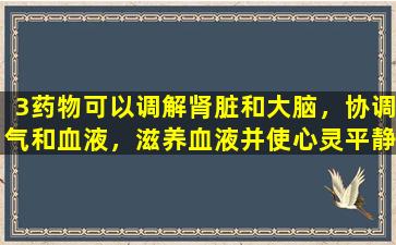 3药物可以调解肾脏和大脑，协调气和血液，滋养血液并使心灵平静，全面改善失眠，治疗症状和根本原因