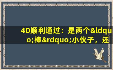 4D顺利通过：是两个“棒”小伙子，还附上了4D图和检查报告！