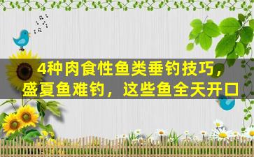 4种肉食性鱼类垂钓技巧，盛夏鱼难钓，这些鱼全天开口