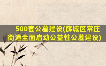 500套公墓建设(薛城区常庄街道全面启动公益性公墓建设)