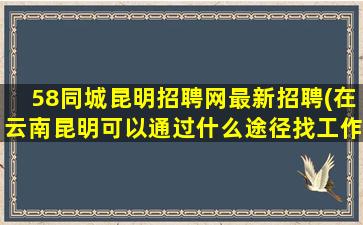 58同城昆明招聘网最新招聘(在云南昆明可以通过什么途径找工作)