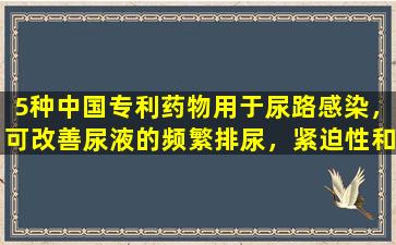 5种中国专利药物用于尿路感染，可改善尿液的频繁排尿，紧迫性和疼痛，并使用辩证法