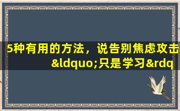5种有用的方法，说告别焦虑攻击“只是学习”