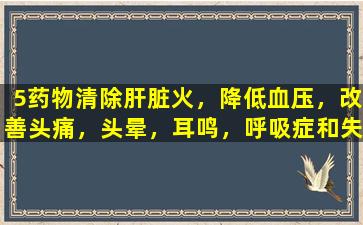 5药物清除肝脏火，降低血压，改善头痛，头晕，耳鸣，呼吸症和失眠，以及保护心血管和脑血管