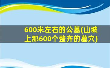 600米左右的公墓(山坡上那600个整齐的墓穴)