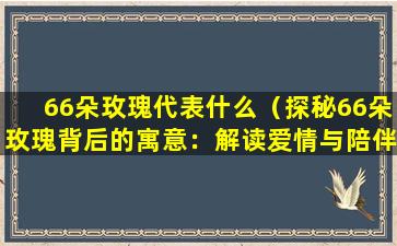 66朵玫瑰代表什么（探秘66朵玫瑰背后的寓意：解读爱情与陪伴的力量）