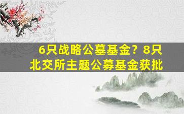 6只战略公墓基金？8只北交所主题公募基金获批