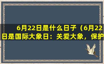 6月22日是什么日子（6月22日是国际大象日：关爱大象，保护自然）