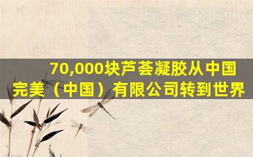 70,000块芦荟凝胶从中国完美（中国）有限公司转到世界