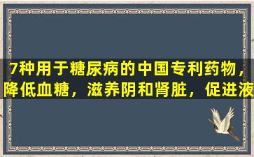 7种用于糖尿病的中国专利药物，降低血糖，滋养阴和肾脏，促进液体和渴望
