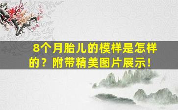 8个月胎儿的模样是怎样的？附带精美图片展示！