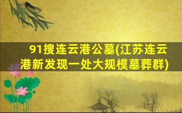 91搜连云港公墓(江苏连云港新发现一处大规模墓葬群)