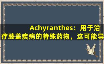 Achyranthes：用于治疗膝盖疾病的特殊药物，这可能导致气血和血液和药物的下降趋势（i）
