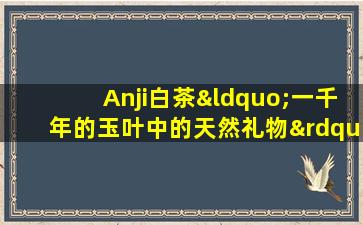 Anji白茶“一千年的玉叶中的天然礼物”