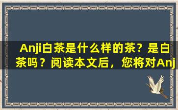 Anji白茶是什么样的茶？是白茶吗？阅读本文后，您将对Anji白茶有全面的了解