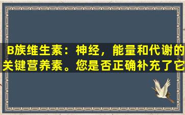 B族维生素：神经，能量和代谢的关键营养素。您是否正确补充了它们？