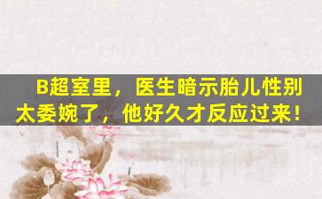 B超室里，医生暗示胎儿性别太委婉了，他好久才反应过来！